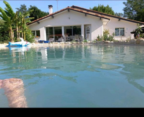 Villas Paradis